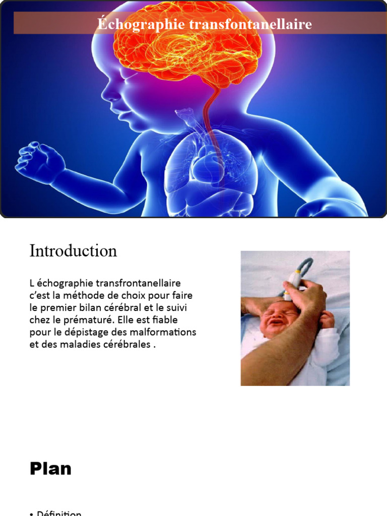 Échographie transfontanellaire chez le bébé | PDF | Cerveau | Liquide ...
