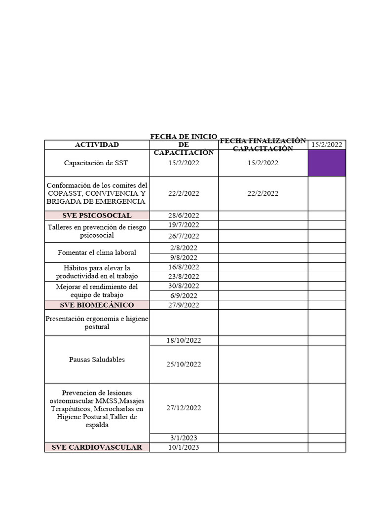 Cronograma de Capacitación SST | PDF | Cuidado de la salud | La seguridad