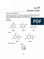 Nucleic Acid