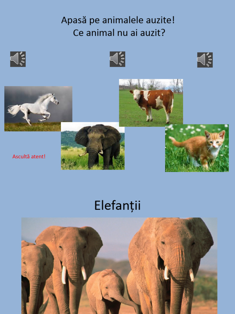 Elefantii Roman Lecke | PDF