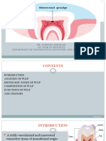 Dental Pulp I