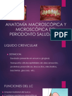 Anatomia Macroscopica Del Period. 2