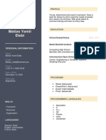 Curriculum Vitae Ingles