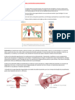 Adenocarcinoma Endometrióide Grau 3 Histológico