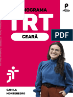 Cronograma Analista Judiciário TRT 7 - Camila Montenegro