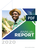 Babban Gona Annual Report 2020