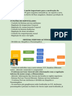 Neuroanatomia - 2