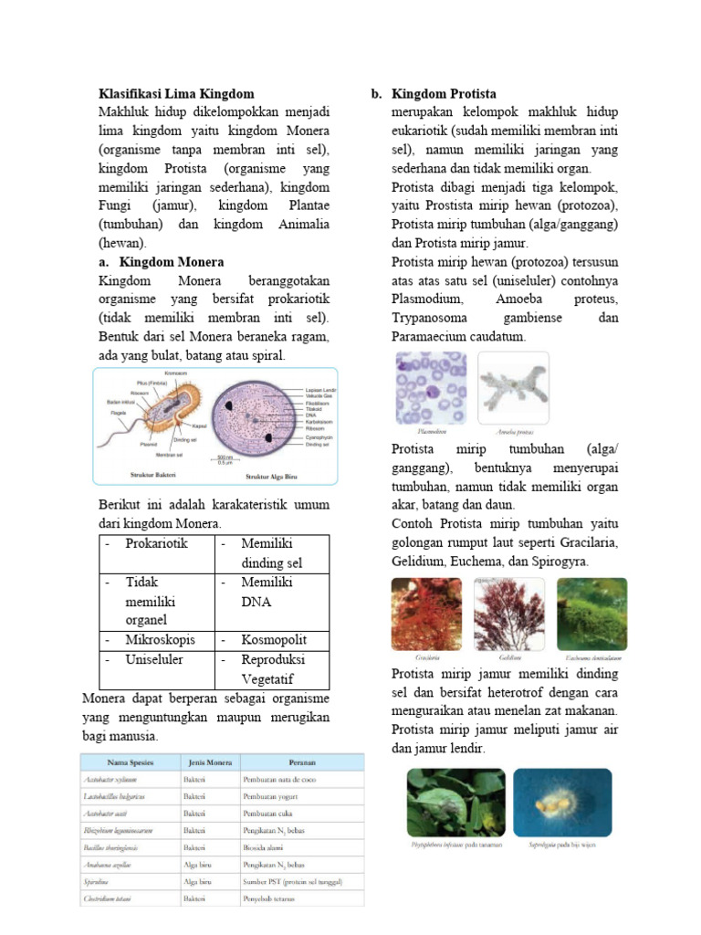 5 Kingdom - VII | PDF | Sains & Matematika | Griya & Taman