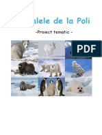 Proiect Poli