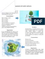 Componentes Del Medio Ambiente 1