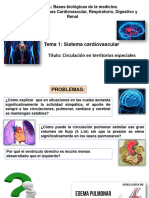 Conferencia 10-Regulación de La Circulación Coronaria, Pulmonar y Cerebral