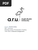 Ronit - Penetration Testing Logbook (ARU 2023)