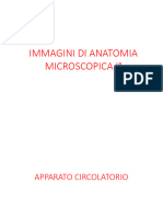 Atlante Immagini Anatomia Microscopica1