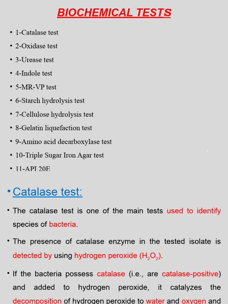 Biochemical Tests Overview | PDF | Catalase | Chemistry
