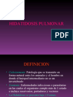 02 - Hidatidosis Pulmonar