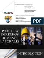 Práctica. Derechos Humanos Laborales