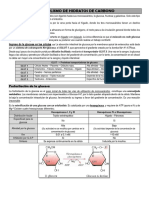 Química - Metabolismo de Hidratos de Carbonos