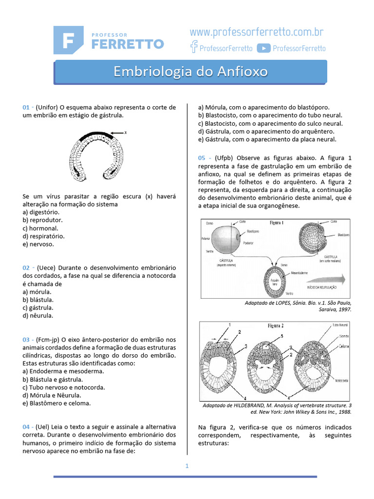 Questões - Embriologia Do Anfioxo Ferretto | PDF | Epitélio | Biologia ...