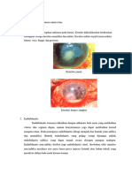 Diagnosis Banding, Talak Referat