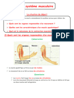 Cours (Système Musculaire)