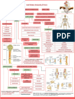 Esqueletico