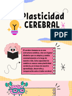 Plasticidad Cerebral