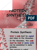 Transcription and Translation