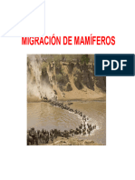 Tema 19 - Migración de Mamíferos