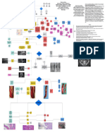 Diagrama de Apendicitis