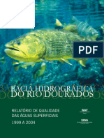 Relatorio Dourados 1999-2004