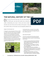 Natural History of The Cat - 317P