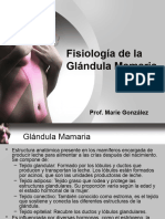 Fisiología de La Glándula Mamaria 16feb2024
