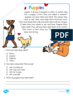 Color First Grade Puppies Reading Passage Comprehension Activity