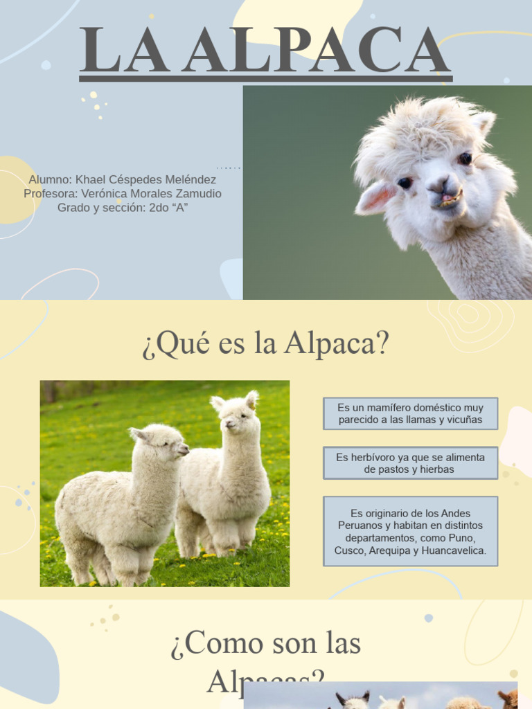Características de la Alpaca para Niños | PDF