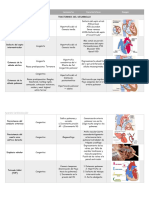 Patología Sistémica Veterinaria - Cardiología