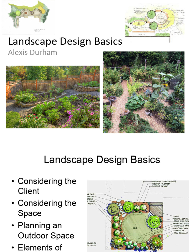 Landscape Design Basics by Alexis Durham | PDF