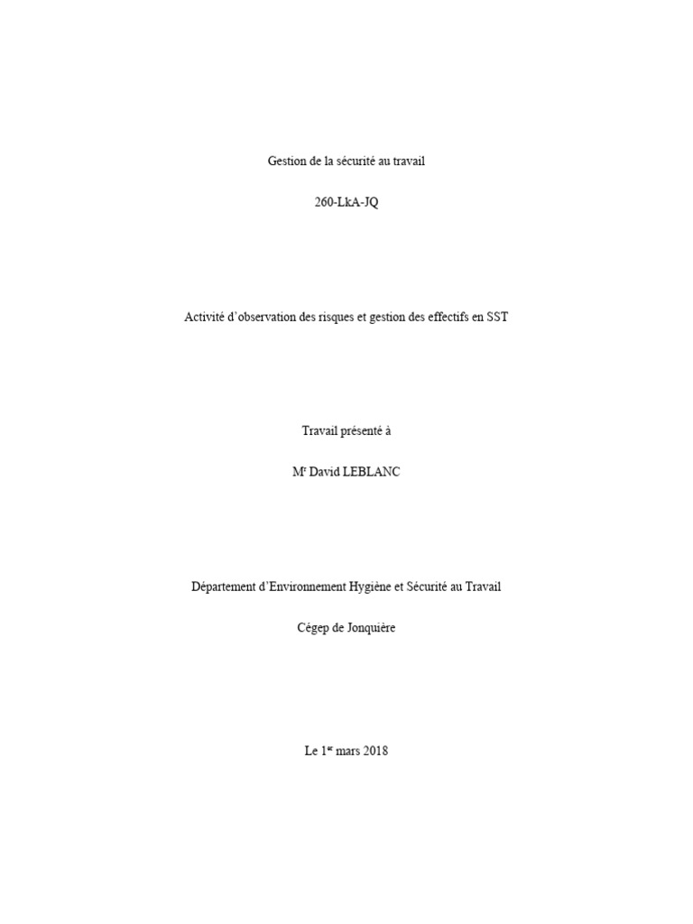 Sécurité au Travail : Gestion des Risques | PDF | Escaliers | Sécurité