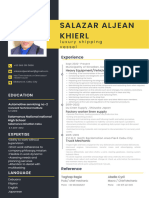 Professional Modern CV Resume