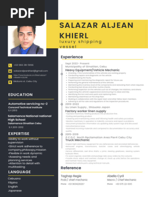 Professional Modern CV Resume