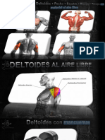 Ejercicios +Deltoides+Pecho+Espalda+Biceps+Tríceps (Guía de Ejercicios) PDF