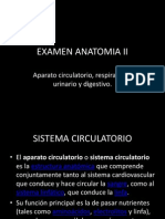 EXAMEN ANATOMIA II