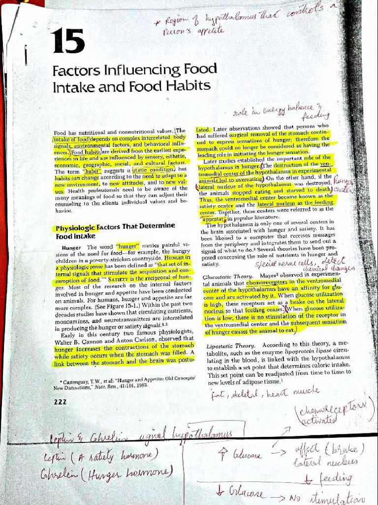 Factors Influencing Food Habits | PDF