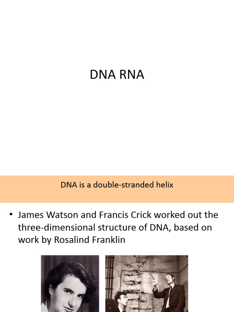 Dna Rna | PDF