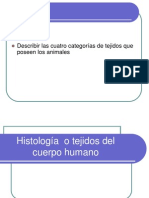 Tejidos Del Cuerpo Humano