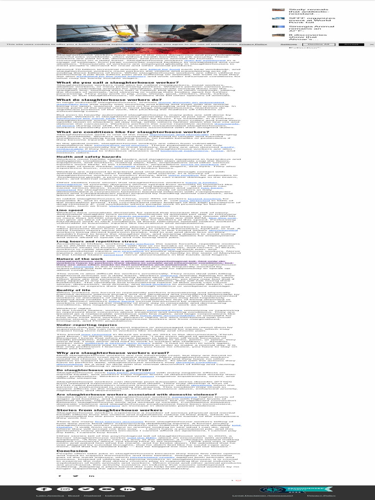 Slaughterhouse Workers - What Do They Do and Are They Cruel | PDF ...