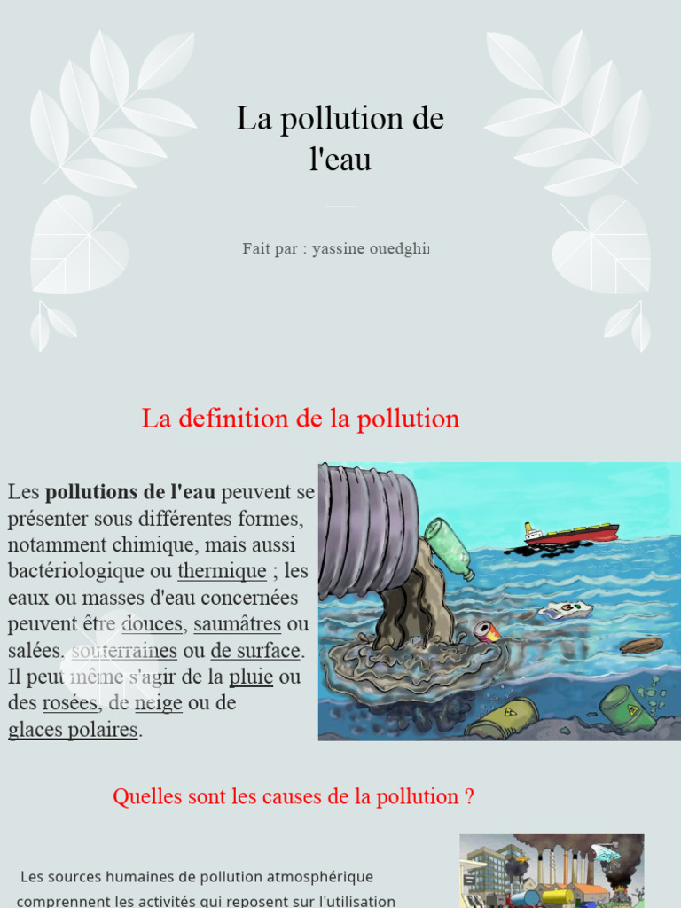 Causes et Solutions à la Pollution de l'Eau | PDF