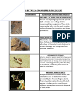 Interactions Between Organisms in The Desert