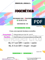 14 Citogenetica - para Alumnos