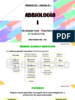 16 Embrio I - para Alumnos