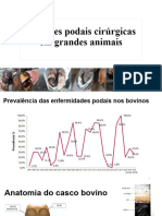 Afecções Podais Cirúrgicas em Grandes Animais - Aula